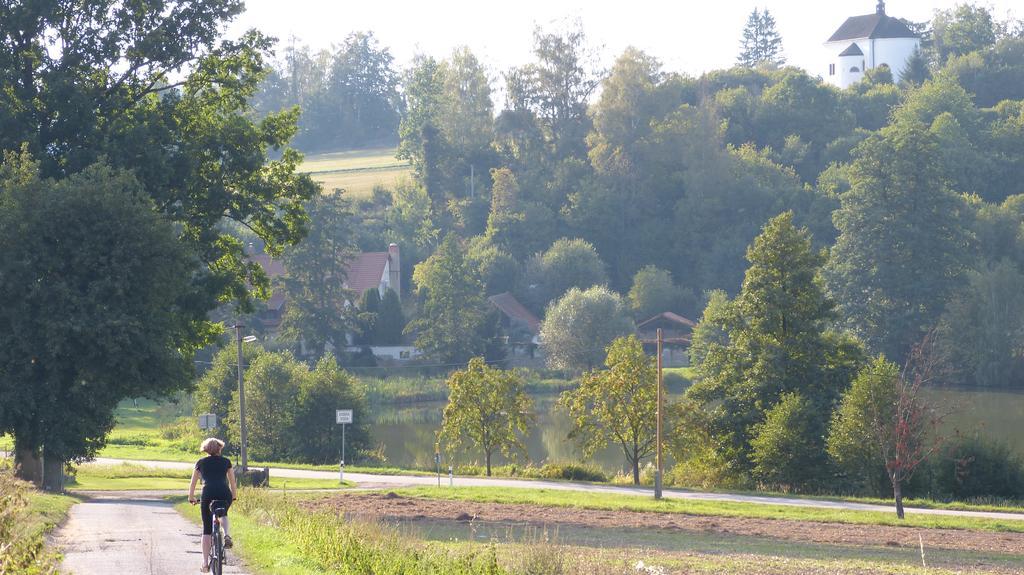Penzion Pod Jáchymem Dobra Voda  Exterior foto